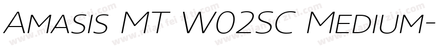 Amasis MT W02SC Medium字体转换